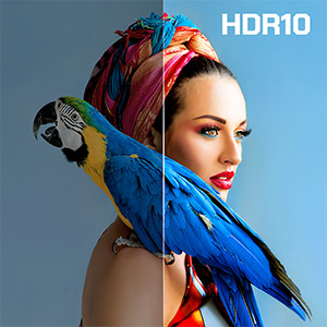 D2140 RC02