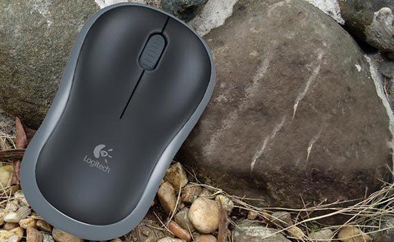 Chuột Logitech Wireless B175