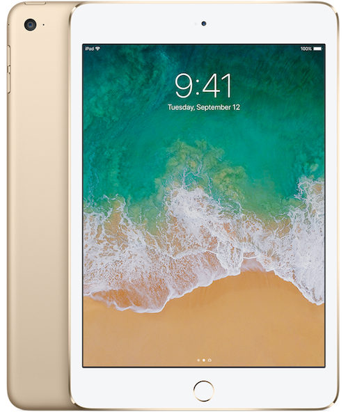 ipad_mini4_step1_wifi_gold_500x592